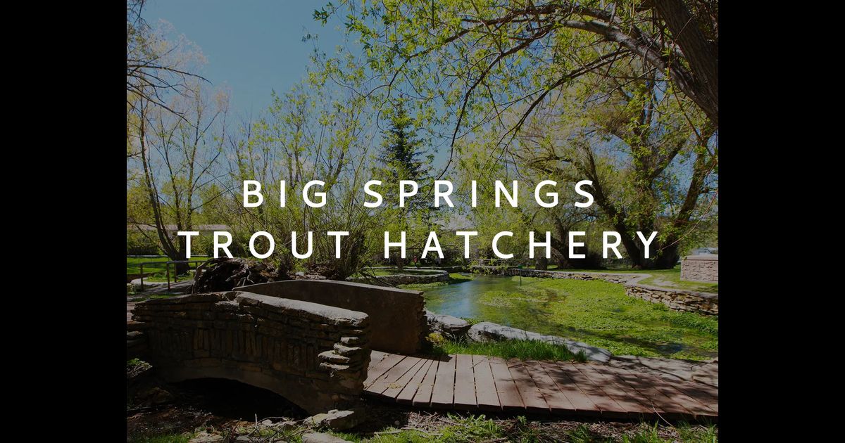 Big Springs Trout Hatchery