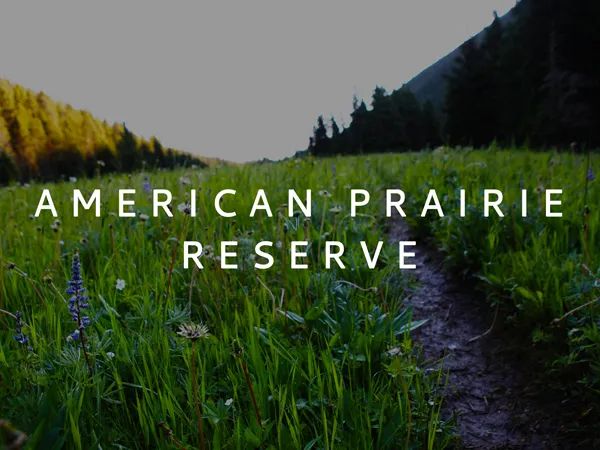 Save The Cowboy Stop The American Prairie Reserve