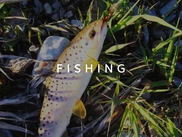 Fishing