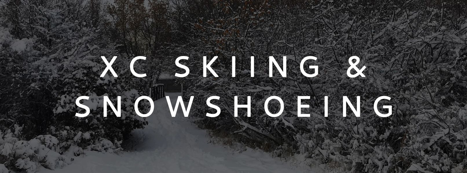 Cross-Country Skiing and Snowshoeing in Central Montana