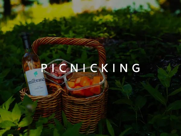 Picnicking
