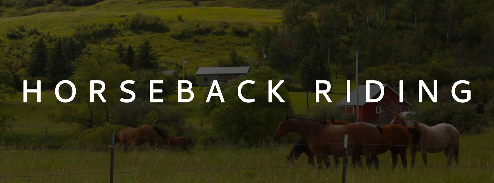 Horseback Riding in Lewistown and Central Montana