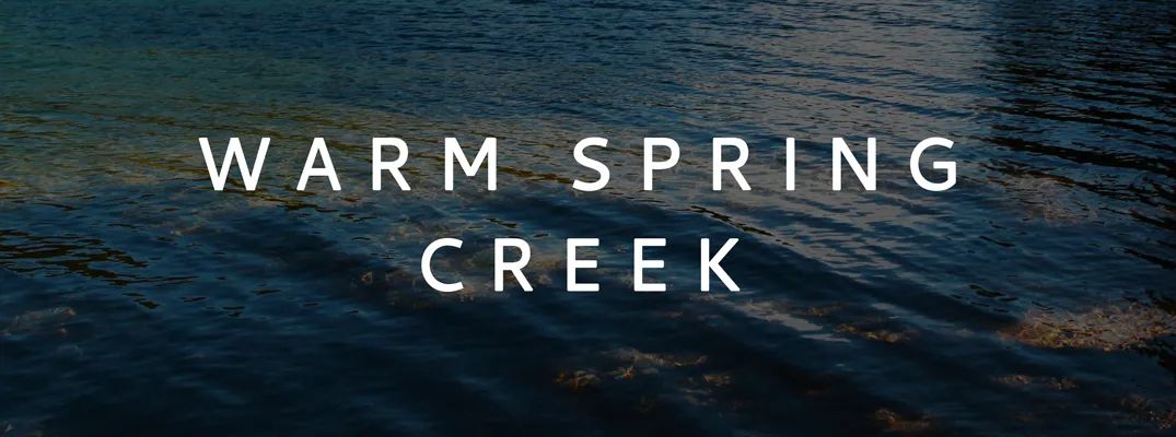 Warm Spring Creek