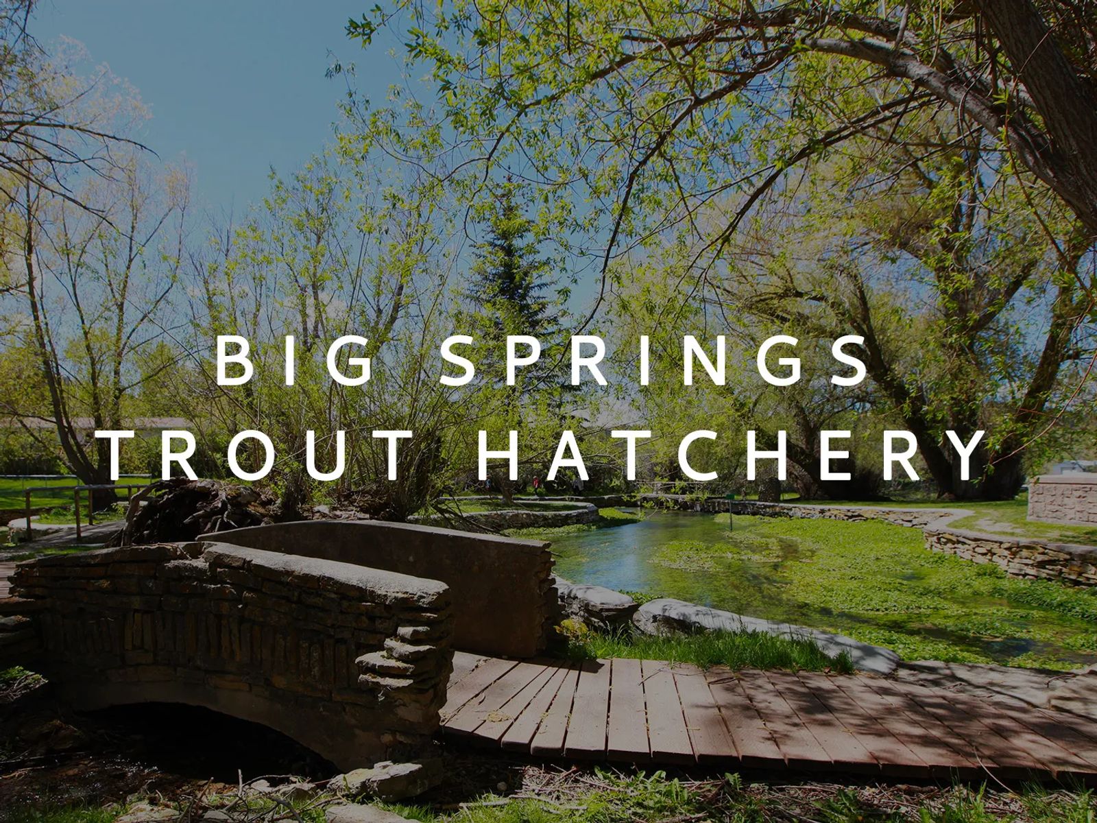 Big Springs Trout Hatchery in Lewistown Montana