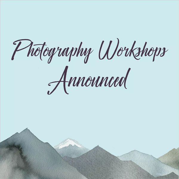 Beginner Photography Class with Kate Loose