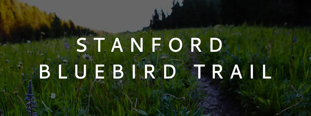 Stanford Bluebird Trail