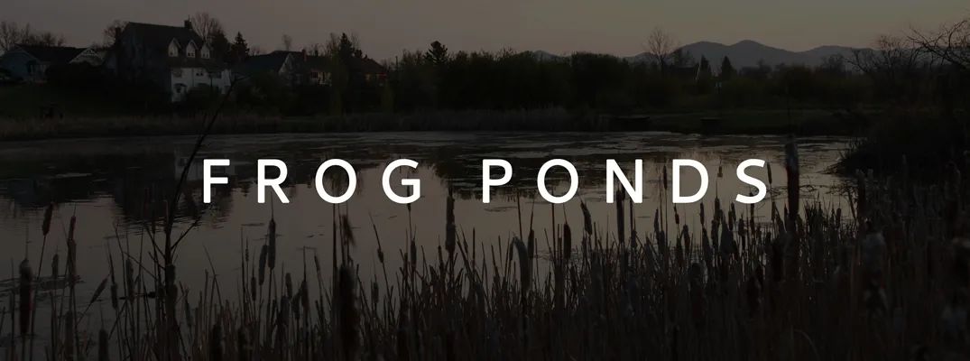 Frog Ponds