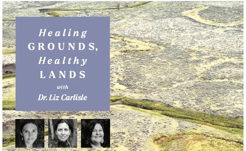 Healing Grounds, Healthy Lands