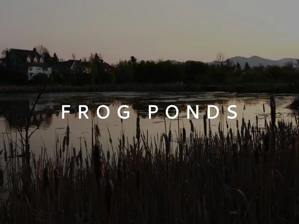 Frog Ponds