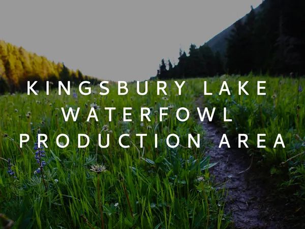 Kingsbury Lake Waterfowl Production Area