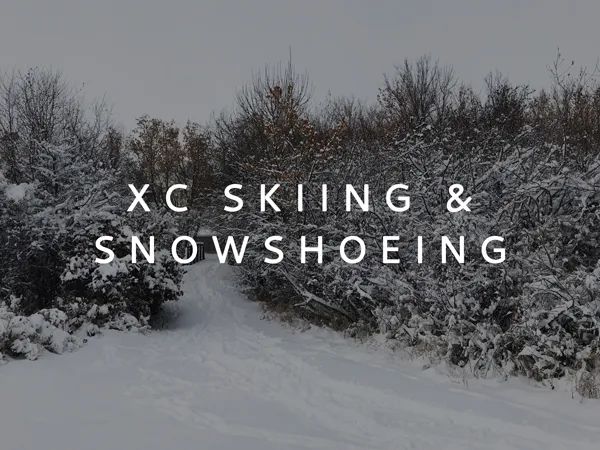 Cross Country Skiing and Snowshoeing