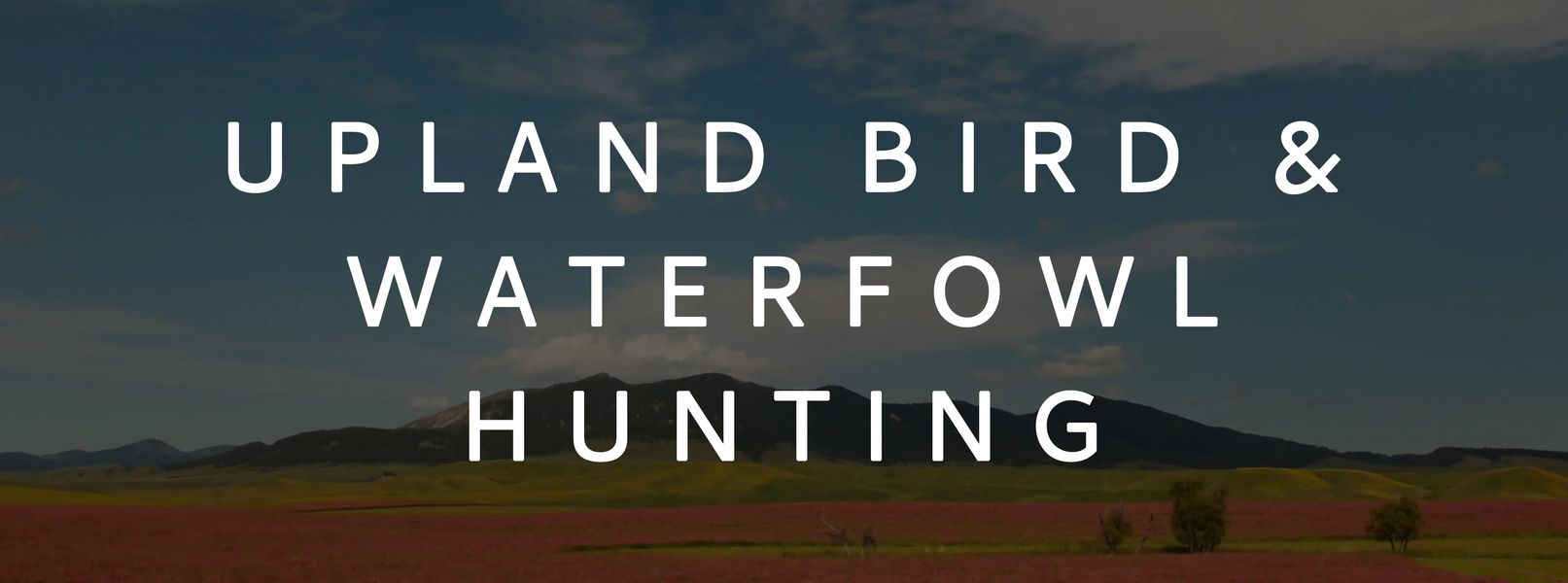 Upland Bird and Waterfowl Hunting in Central Montana